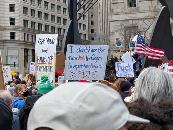 An early spring protest March in Chicago. Amidst a bunch of people waving various anti-Trump signs, one says "I don't have the time nor the crayons to explain this to you!! FDT"