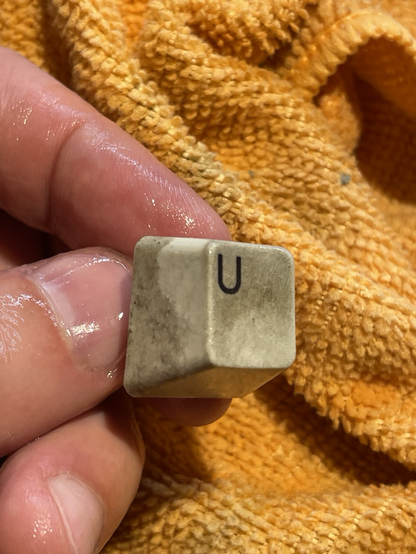 A filthy key about to be scrubbed clean.
