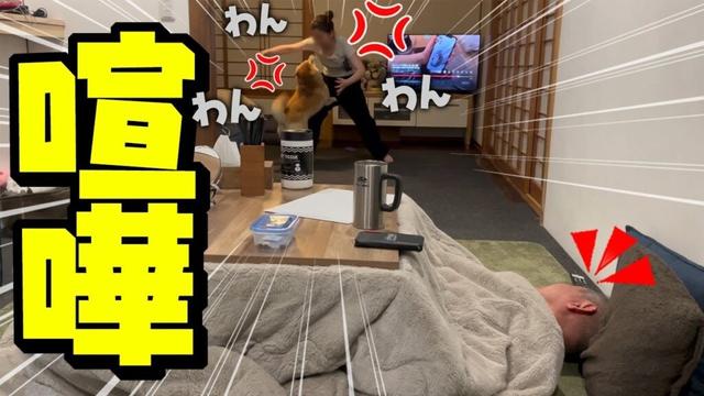 娘と柴犬が大喧嘩勃発！まさかのとばっちりを受けるパパwwww