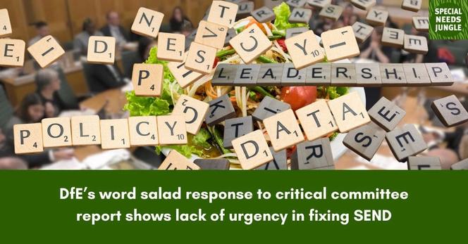image shows scrabble letters spelling ‘policy’ ‘leadership’ ‘data’ and a bowl of salad over a blurred image of the PAC committee at work