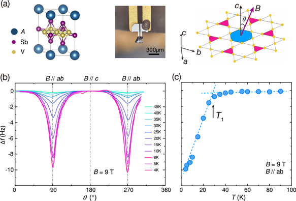 Probing orbital magnetism of a kagome metal CsV3Sb5 by a tuning fork resonator