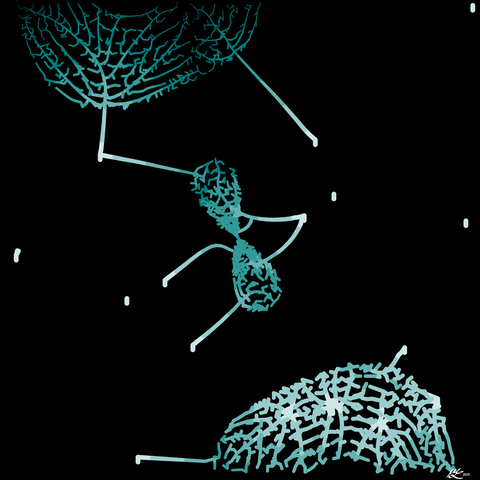 Shapes formed from branchings in shades of teal over a black background. In the center is a double-lobed figure with a few lines sticking out the sides. It looks like an ant to me. Above and below are circular regions of branching. The ant among the leaves.
