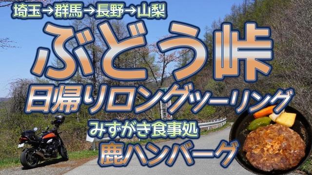 [バイク旅#188] 今年初ぶどう峠越え　お勧め日帰りロングツーリング　(グルメ)ジビエ料理の鹿ハンバーグ定食：みずがき食事処　GW絶景に出会える