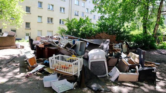 Ekel-Horror in Essen: Anwohner fing schon 47 Ratten | Regional