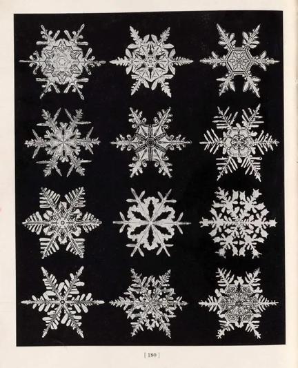 The image displays a collection of twelve snowflakes arranged in a 3x4 grid against a black background. Each snowflake is intricately detailed, showcasing unique patterns and structures. The snowflakes vary in design, with some featuring more complex and symmetrical patterns, while others have simpler, more delicate structures. The central snowflake in the middle row is particularly prominent, with a complex and symmetrical design. The snowflakes are monochromatic, with white details on a black background, emphasizing their intricate designs. The image appears to be a page from a book, as indicated by the page number "180" at the bottom center.

Provided by @altbot, generated privately and locally using Ovis2-8B