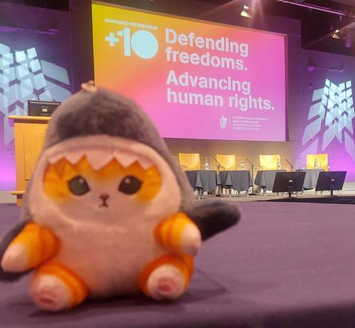A mug-sized Blåhaj which is definitely not a cat (a cat wearing a blue shark costume) in front of a massive presentation screen saying "Defending freedoms. Advancing human rights" organised by the Department of Equality.