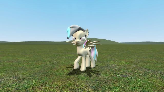 Pony OC