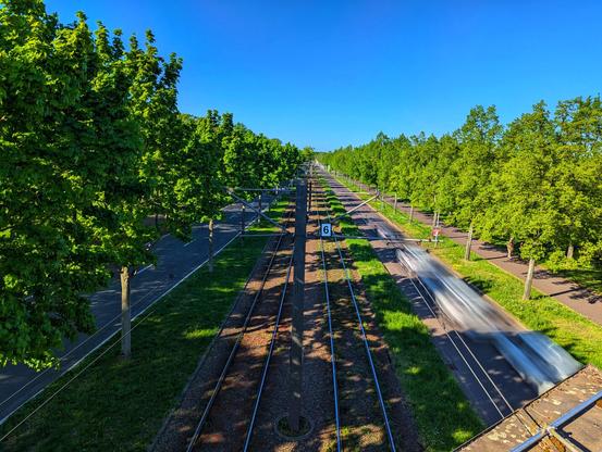 An aerial shot shows train tracks running straight through a vibrant green, tree-lined avenue. The tracks stretch into the distance under a clear blue sky. Blurred cars are visible moving along the tracks, adding a sense of motion to the otherwise still scene. The surrounding trees are lush and full, creating a tunnel-like effect along the tracks.