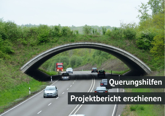 Grünbrücke Holzgerlingen (Foto: FVA BW/Strein)