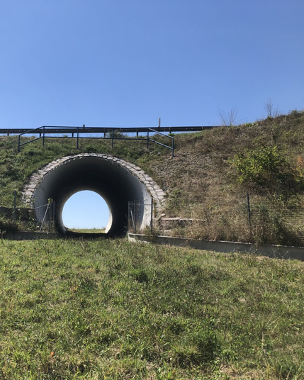 Faunaunterführung Überlingen (Foto: FVA BW/Strein)