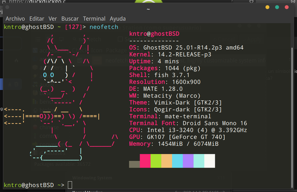 Captura de pantalla del terminal de Gost Bi Es Di, en donde se ejecutó el programa Neofetch y aparece la mascota Bisti de Fri Bi Es Di.