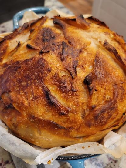 Color Photo
Golden-brown honey cinnamon round loaf of sourdough bread nestled in a parchment-lined pot. The top of this round loaf boasts a beautifully blistered and slightly caramelized crust, with jagged peaks and valleys formed by scoring before baking. These ridges are a darker shade of brown, hinting at a satisfyingly crisp texture. The sides of the loaf have a more even, golden hue, transitioning to a lighter base where it meets the parchment paper. It is sitting in a blue cast iron bread baker. 

It is so delicious.