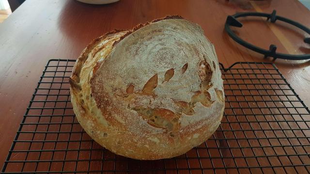 a round sourdough boule. it has seeds and rice flour decorating its crust. and a wheat shaped pattern on the side.