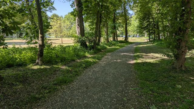 [KI-generiert]:  Das Bild zeigt einen sonnigen, friedlichen Spazierweg, der durch einen grünen Park mit hohen Bäumen führt.

Detaillierte Beschreibung:

Das Bild zeigt einen sandigen, schmalen Weg, der sich von der unteren Bildmitte in die Ferne schlängelt. Der Weg ist von üppigem, grünem Gras und einer Reihe von hohen, schlanken Bäumen gesäumt, die einen dichten Baldachin bilden und den Weg teilweise beschatten. Die Baumstämme sind von hellem Braun, ihre Blätter sind sattgrün und dicht. Die Bäume bilden eine natürliche, leicht gekrümmte Allee entlang des Weges. Der Boden ist mit kleinen, hellen Blütenblättern übersät, die wahrscheinlich von den Bäumen fallen. Im Hintergrund ist eine offene, grüne Fläche zu sehen, vielleicht eine Wiese oder ein Feld, die im Sonnenlicht hell leuchtet. Der Himmel ist klar und hellblau, obwohl er nur durch die Blätter des Baumbestands teilweise sichtbar ist. Die allgemeine Atmosphäre des Bildes ist ruhig, friedlich und ruhig. Es vermittelt ein Gefühl von Ruhe und Natürlichkeit. Es wirken keine Personen oder Tiere auf dem Bild. Die Beleuchtung deutet auf einen sonnigen Tag hin – das Licht fällt von oben und erzeugt Schatten entlang des Weges und unter den Bäumen.