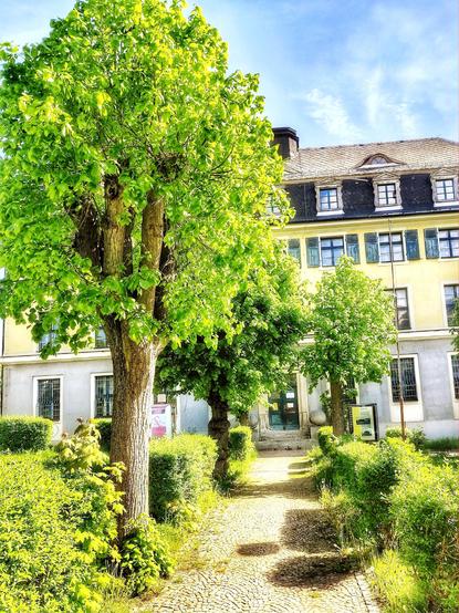 Bäume, deren frisches Grün im Sonnenlicht strahlt, säumen einen schmalen Weg zu einem Haus. Das früher mal das Postamt war.