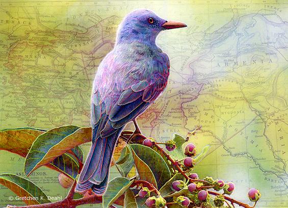 Set against a backdrop of an ancient map, colored in pale greens and golds, a purple-blue bird perches on a branch bursting with juicy red berries. NOTE: This description created especially for my lovely blind friend, Georgiana. :-)