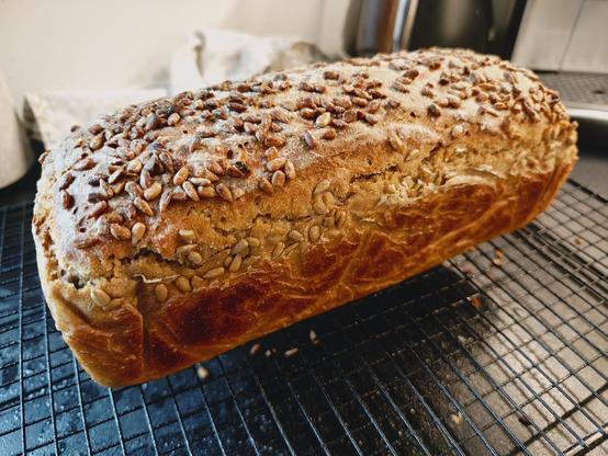 Homem made bread resting on a cooling rack. Crust is covered with sunflower seeds