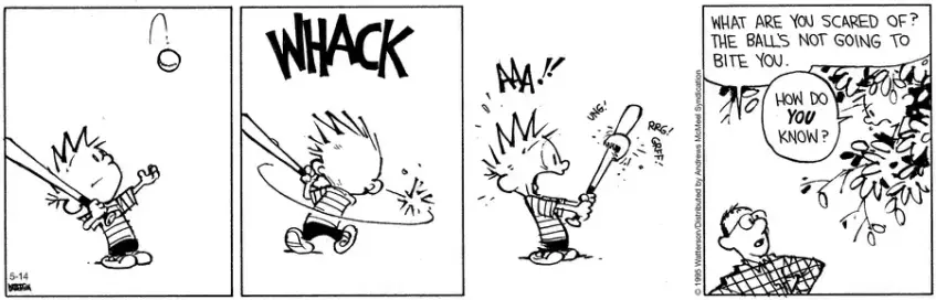 Calvin hits a baseball but it attacks his bat and starts chomping it.  Calvin screams and hides up a tree.  His father asks him, "What are your scared of?  The ball's not going to bite you!"  Calvin asks, "How do you know?"