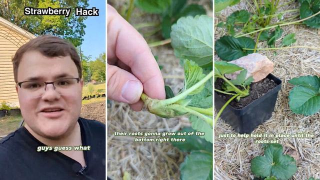 The popular post received comments from gardening enthusiasts who couldn't wait to try it out.