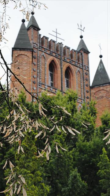 The image shows the top part of a brick building, likely a church, with Gothic architectural elements such as pointed arches and towers. There are metal spires and crosses on top of the towers. In the foreground, there are branches with dried leaves and small round fruits, and green foliage is visible.
