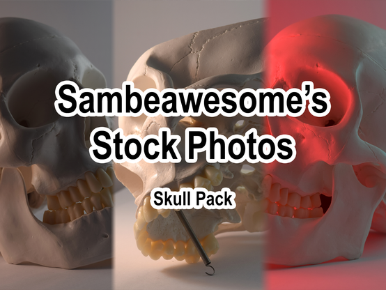 A collage of three example photos, all of a human skull. The text reads: Sambeawesome's Stock Photos, Skull Pack