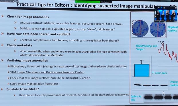 Practical Tips for Editors: Identifying suspected image manipulation

Check for image anomalies
Unusual contrast; artifacts; impossible features; obscured sections; hand drawn...
Do blots contain splices; duplicated regions; are too "clean"; odd features?

Have raw data been shared and verified?
Check for completeness; faithfulness; variability; have replicates been shared?

Check metadata
Who created file; when and where were images acquired; is file type consistent with what's described in the Methods?

Verifying image anomalies
Photoshop / Powerpoint (change transparency of top image and overlay to check similarity)
STM Image Alterations and Duplications Resource Center
Check that raw images reflect those in the manuscript / article
COPE Image Manipulation flowcharts

Escalate to institute?
Best placed to verify provenance of research; scrutinise lab books/hardware; interview