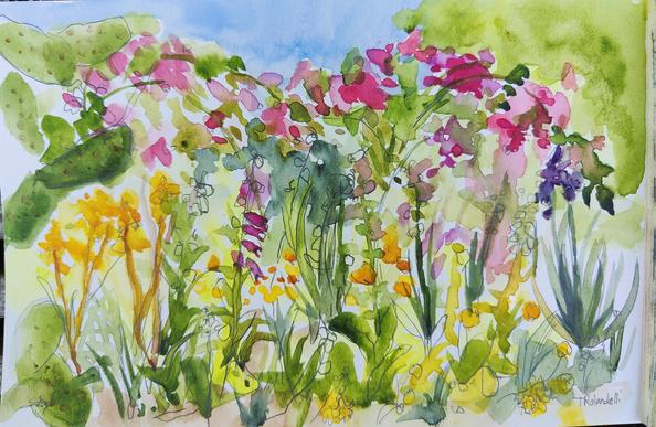 A full flowering garden bed depicted in pencil sketch and watercolor. Greens, golds, pink and purple flowers, and a slight blue sky peeking through at the top.