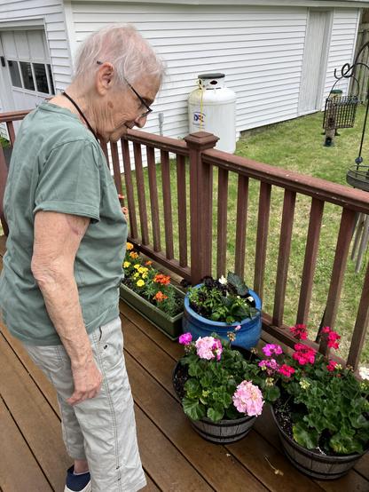Partner’s 94 year mother very happy with all the flowers and herbs I potted for her on her deck.
