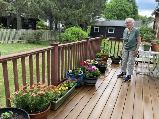 Partner’s 94 year mother very happy with all the flowers and herbs I potted for her on her deck.