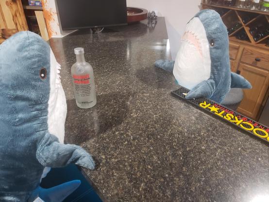 This image shows two blahajs at a bar one ordering a drink and one serving it.