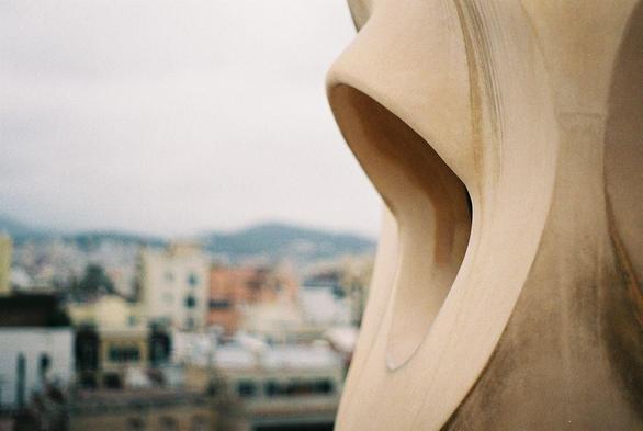 your event had a mouth: photograph of a mouth at Gaudi's Casa Batlló, Barcelona, Spain by Flickr user sloverton