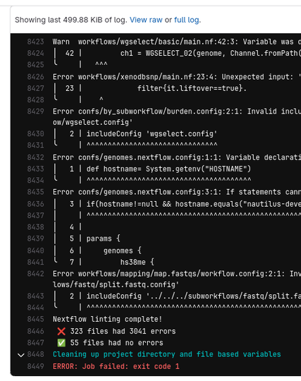 screenshot. Ouput of "nextflow lint" in gitlab CI/CD.