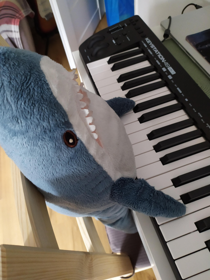 This fun photo shows an ikea blahaj playing the piano!