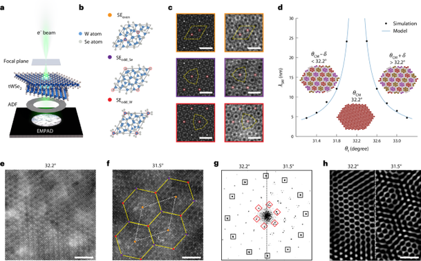 Robust supermoiré pattern in large-angle single-twist bilayers