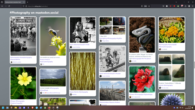 Sample of photography feed, full width, not tilted, not clipped.