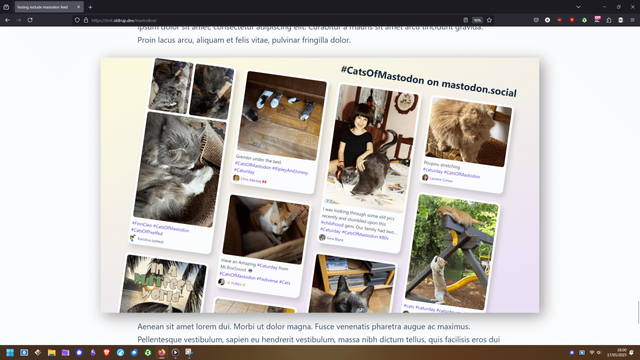 Sample of a feed in a wide group container, #CatsOfMastodon, mandatory.