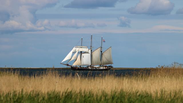 Ein Dreimaster mit gehissten Segeln kurz hinter Schleimünde auf der Schlei. Im Vordergrund der Schilfgürtel, grün und gelb. Das dunkelblaue Wasser. Und über allem ein hellblauer Himmel, bemalt mit Wolken.