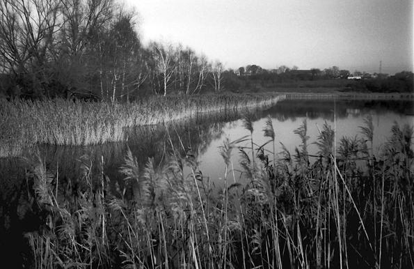Early spring by the ponds in Upper Silesia, Poland. Photo taken with a Rollei XF35 camera, Fomapan 200 ISO film