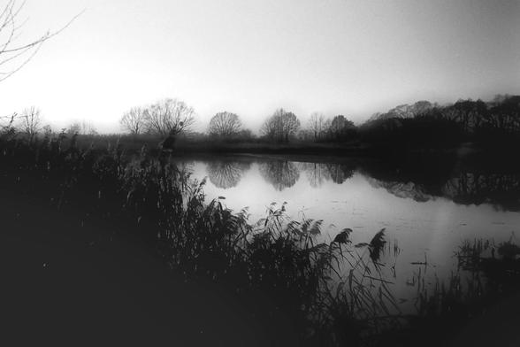Early spring by the ponds in Upper Silesia, Poland. Photo taken with a Rollei XF35 camera, Fomapan 200 ISO film
