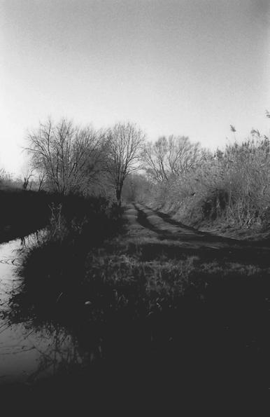 Early spring by the ponds in Upper Silesia, Poland. Photo taken with a Rollei XF35 camera, Fomapan 200 ISO film