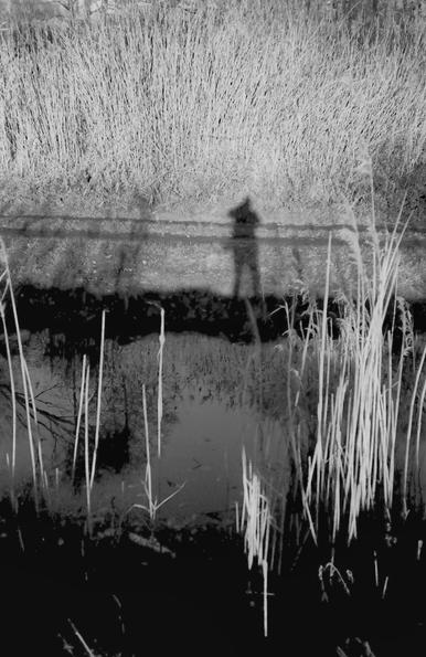 Early spring by the ponds in Upper Silesia, Poland. Photo taken with a Rollei XF35 camera, Fomapan 200 ISO film