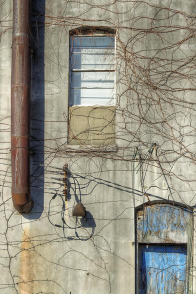Vines on a weathered wall 
Vines creep over the weathered walls of an old building, with rusted pipes and faded paint suggesting years of exposure