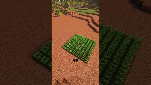 Felder richtig bauen in Minecraft