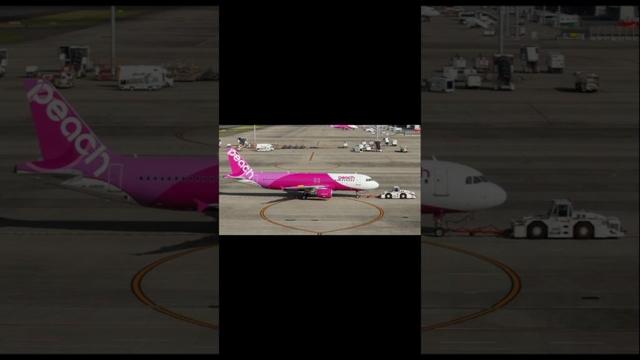 peach aviation Japanese low cost airline. #aviation #music #airplane #shortvideo #shorts #travel