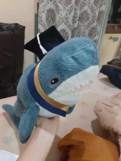 This image shows the blahaj from IKEA graduating with a black cap and some ribbons representing his achievements. Congratulations everyone who graduated!