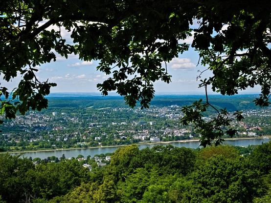View from a mountain. At the top of the picture are branches of trees in spring, the rest of the photo shows the Rhine with many houses and trees on the opposite bank. The view extends to the horizon, although it is slightly hazy.