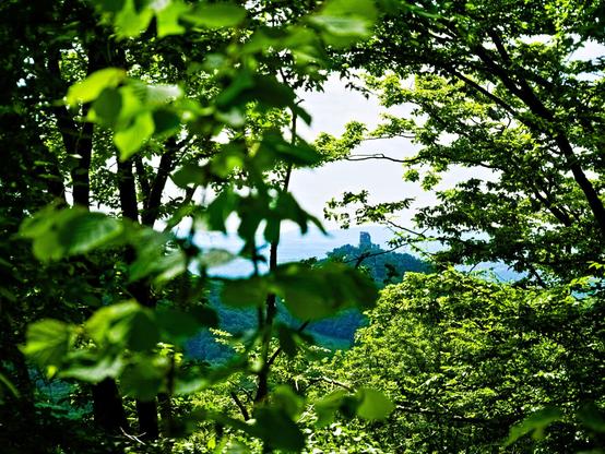 Once again the ruins of Drachenfels Castle. This time the view falls on it through green foliage.