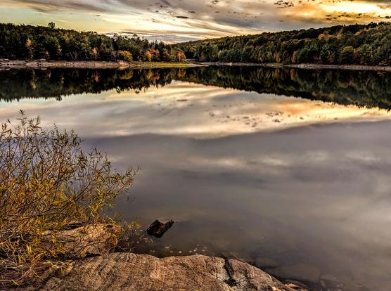 Standing on the rocky shore of a large lake, a small shrub with long, narrow green leaves to our left. Beyond a strip if rocks and grass, the far shore is wooded. Some of the trees are beginning to turn gold or orange. Streaky clouds, many tinted gold by the setting sun, are beginning to fill the sky from the right. The sky and far shore are perfectly mirrored on the dead calm lake surface.