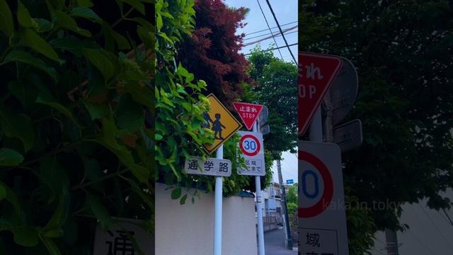 Strolling in Tokyo at dusk🐈🍃☁️#tokyo #japan #vibes #travel #foryou #日本 #cinematic #street