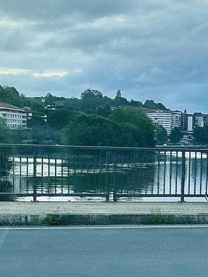 A view of a river bordered by a fence, with buildings and lush greenery in the background under a cloudy sky.